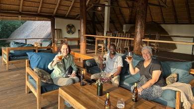 Chimps & Gorillas of Uganda