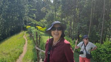 Chimps & Gorillas of Uganda