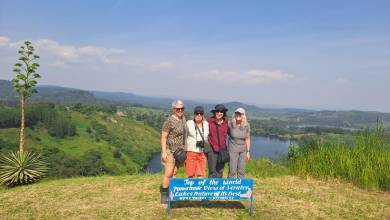 Chimps & Gorillas of Uganda