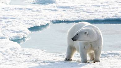 Northwest Passage: The Legendary Arctic Sea Route (Ultramarine)