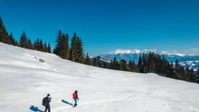 Transylvania Winter Walk & Snowshoe