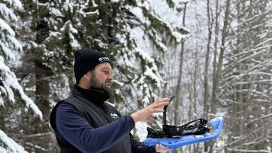 Transylvania Winter Walk & Snowshoe