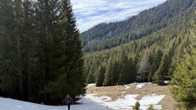 Transylvania Winter Walk & Snowshoe