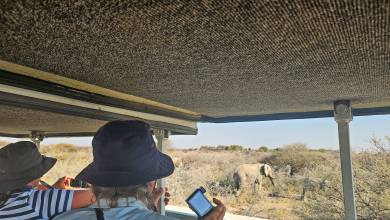 Discover Namibia – Camping