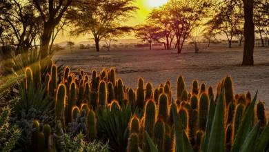 Discover Namibia – Camping