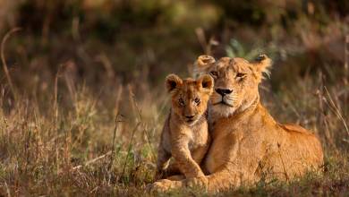 Kenya & Tanzania Adventure