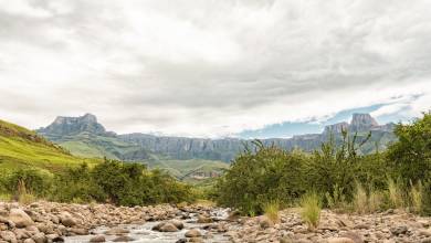 South Africa: Walking & Wildlife