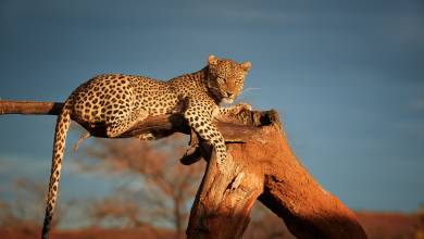 Discover Namibia – Camping