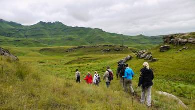 South Africa: Walking & Wildlife