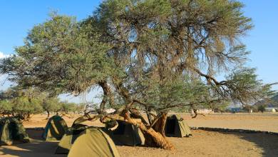 Discover Namibia – Camping