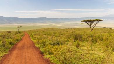 Kenya & Tanzania Adventure