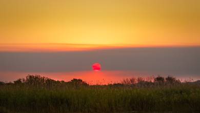 South Africa: Walking & Wildlife