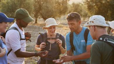 Walking in Andalucia