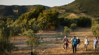 Walking in Andalucia