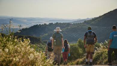 Walking in Andalucia