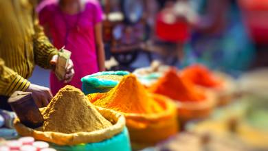 Colours of Rajasthan