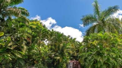 Costa Rica Adventure Family Holiday