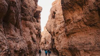 Botswana & Namibia: Delta & Dunes