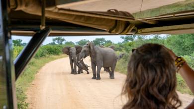 South Africa: Walking & Wildlife