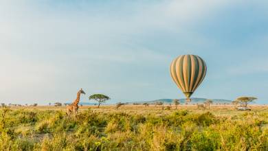 Kenya & Tanzania Adventure