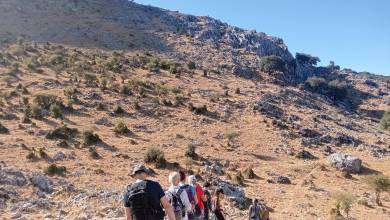 Walking in Andalucia