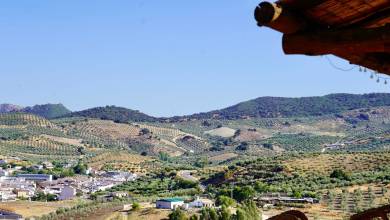 Walking in Andalucia