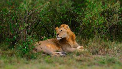 Kenya & Tanzania Adventure