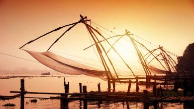 Kerala & the Tropical South