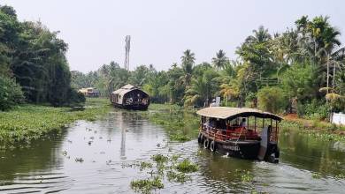 Spice Trails of Kerala