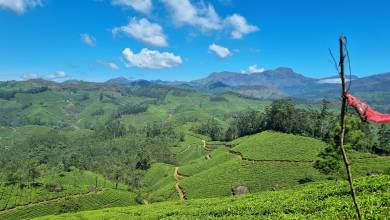 Spice Trails of Kerala