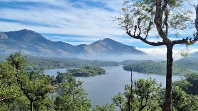 Spice Trails of Kerala