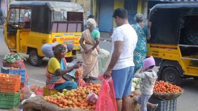 Spice Trails of Kerala