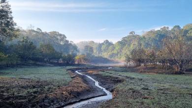 Spice Trails of Kerala