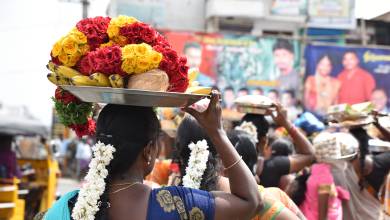 Kerala & the Tropical South