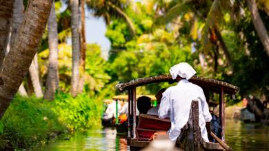 Kerala & the Tropical South