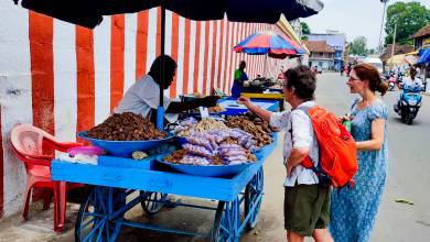 Kerala & the Tropical South