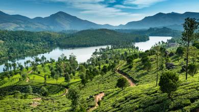 Kerala & the Tropical South