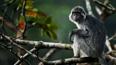 Cycling Indonesia’s Islands
