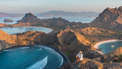 Primates & Dragons of Indonesia