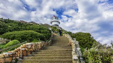 Cape Town & the Garden Route