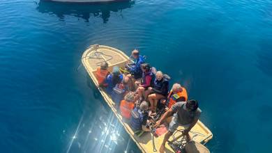 Primates & Dragons of Indonesia