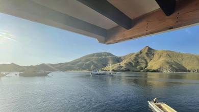 Primates & Dragons of Indonesia