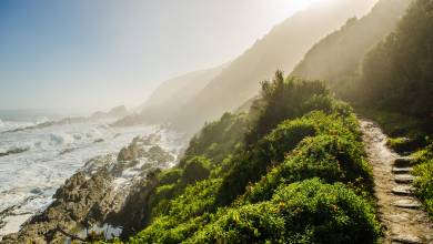 Cape Town and the Garden Route – Premium Adventure