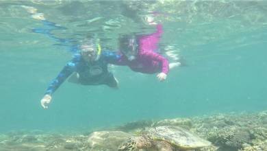 Primates & Dragons of Indonesia