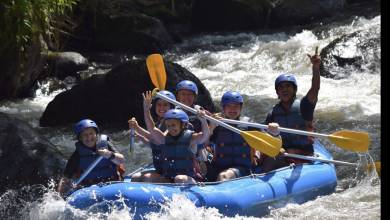 Primates & Dragons of Indonesia