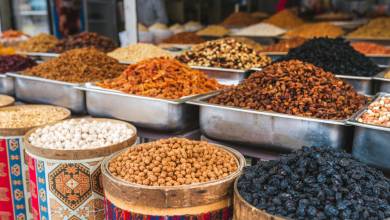 Ancient Egypt & Nile Cruise