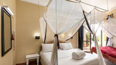 Chimps & Gorillas of Uganda