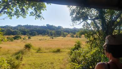 Botswana & Zimbabwe Lodge Safari