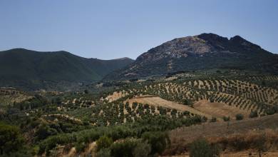 Walking in Andalucia