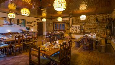 Pantanal – Land of the Jaguar